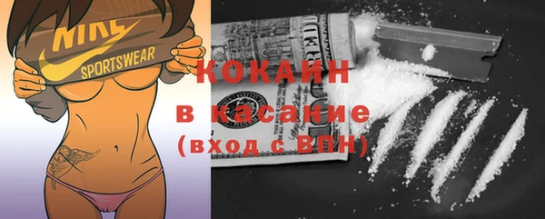 прущий лед Богданович