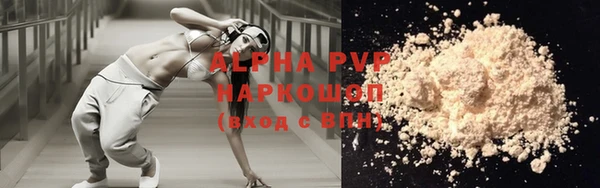 прущий лед Богданович