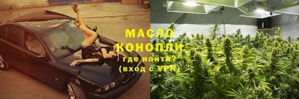 прущий лед Богданович