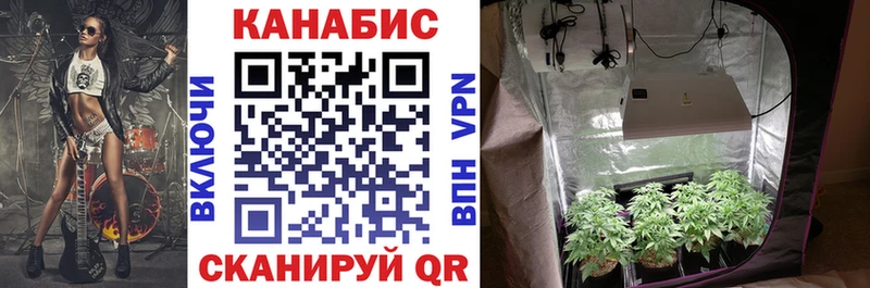 Шишки марихуана Ganja  сколько стоит  Валдай 